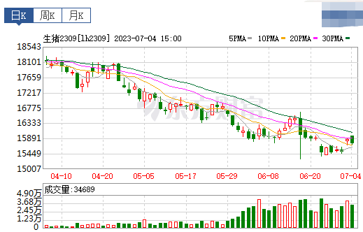 2023.07.05今日猪价