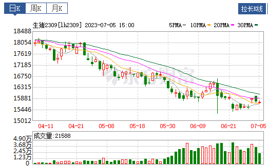 2023.07.06今日猪价