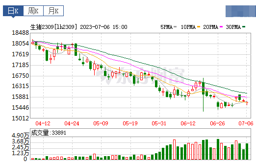 2023.07.07今日猪价