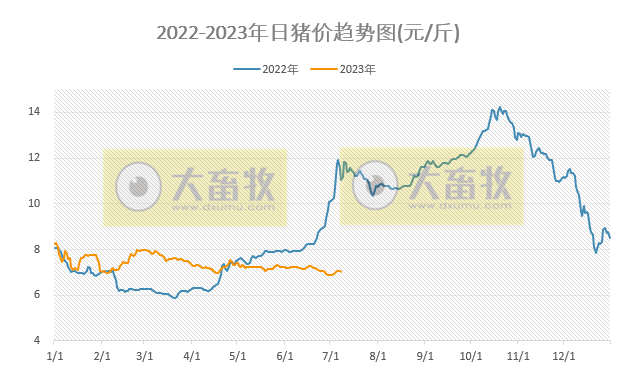 2023.07.08今日猪价