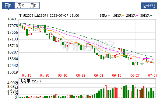 2023.07.08今日猪价
