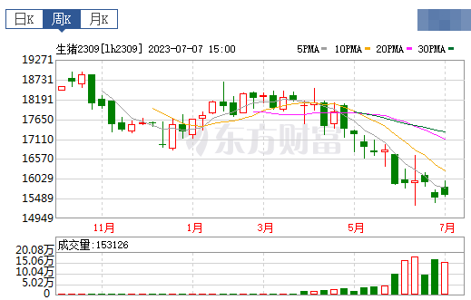 2023.07.09今日猪价