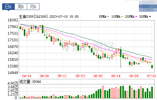2023.07.11今日猪价
