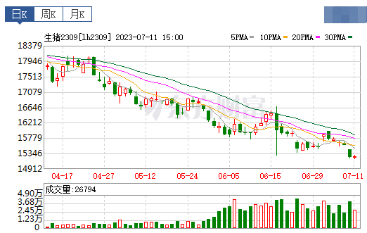 2023.07.12今日猪价