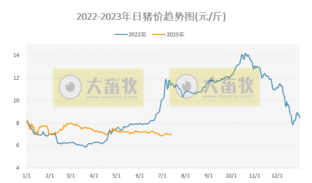 2023.07.13今日猪价
