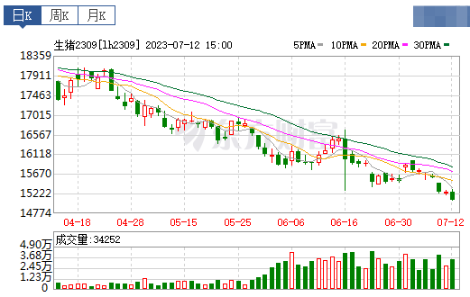 2023.07.13今日猪价