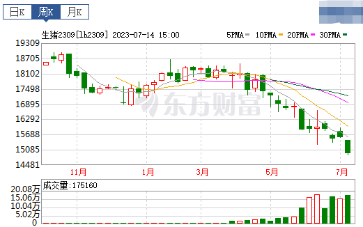 2023.07.16今日猪价