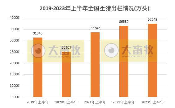 2023年6月及上半年生猪行业数据汇总