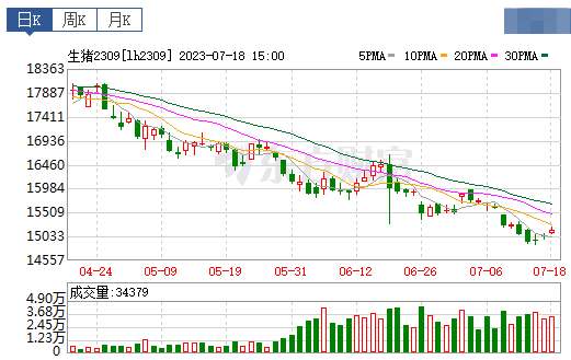 2023.07.19今日猪价