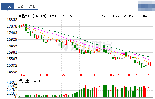 2023.07.20今日猪价