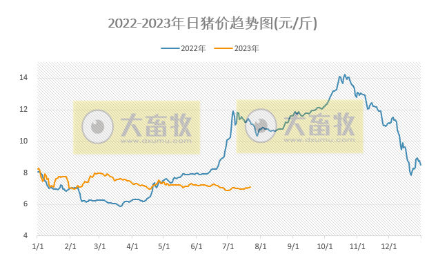 2023.07.22今日猪价