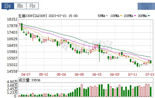 2023.07.22今日猪价