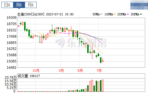 2023.07.23今日猪价