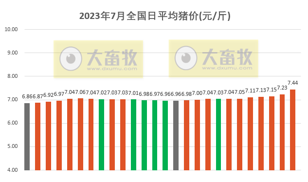 2023.07.26今日猪价