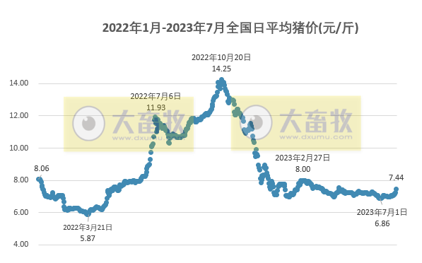 2023.07.26今日猪价