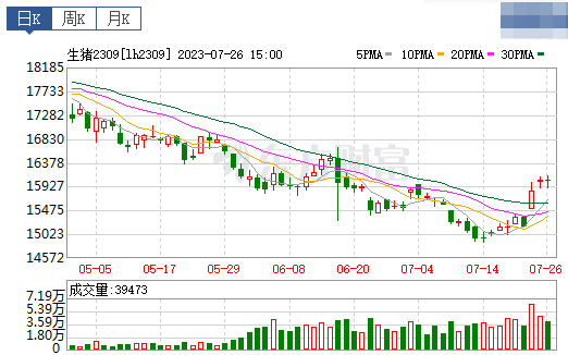 2023.07.27今日猪价