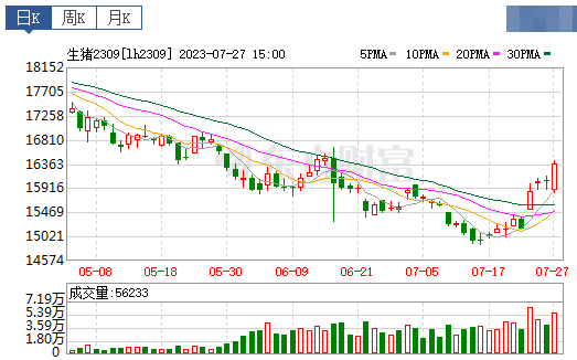 2023.07.28今日猪价