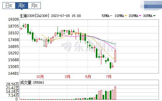 2023.07.30今日猪价,暴涨