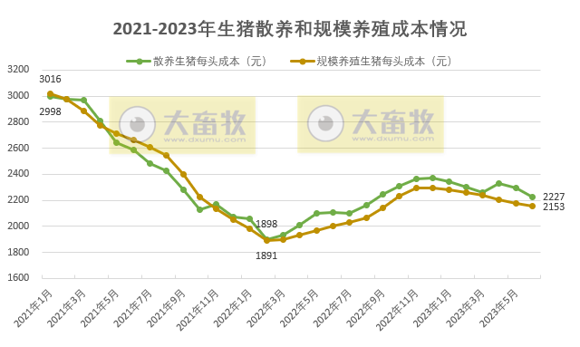 2023年6月及上半年生猪行业数据汇总