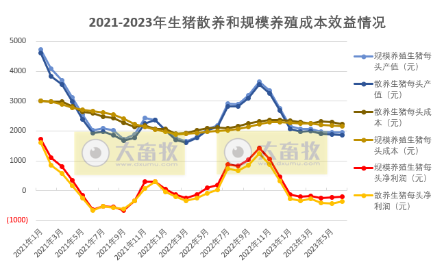 2023年6月及上半年生猪行业数据汇总