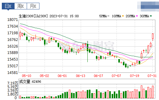 2023.08.01今日猪价