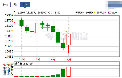 2023.08.01今日猪价