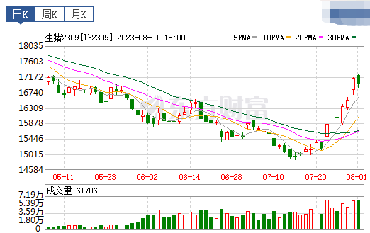 2023.08.02今日猪价，又出现暴涨，5省突破9元