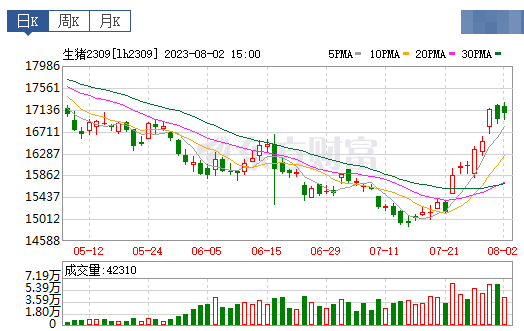 2023.08.03今日猪价，全面上涨，15省突破9元