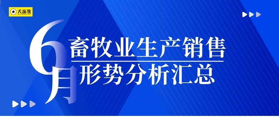 2024年6月畜牧业生产销售形势分析汇总
