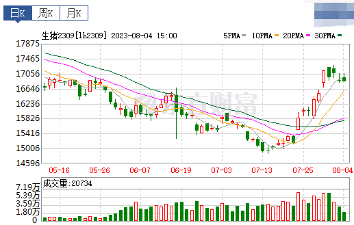 2023.08.05今日猪价