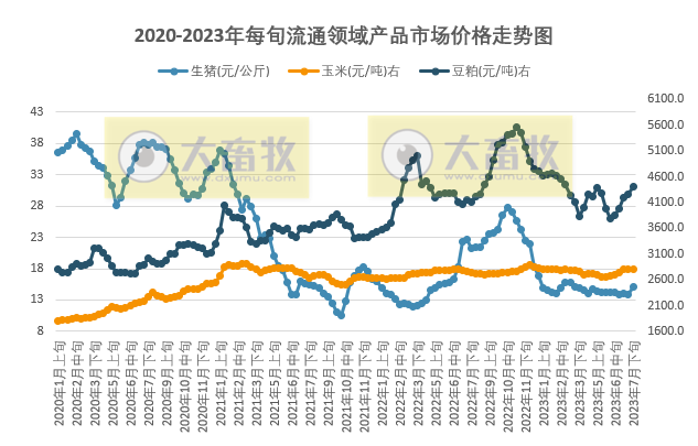 二育补栏火热，猪价暴涨，创今年以来最高，预计后期存在再度回调风险