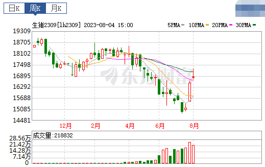 2023.08.06今日猪价，又开始上涨