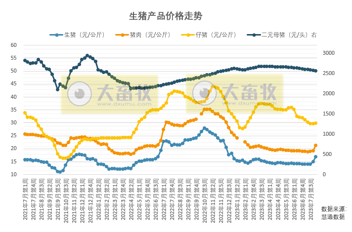 二育补栏火热，猪价暴涨，创今年以来最高，预计后期存在再度回调风险