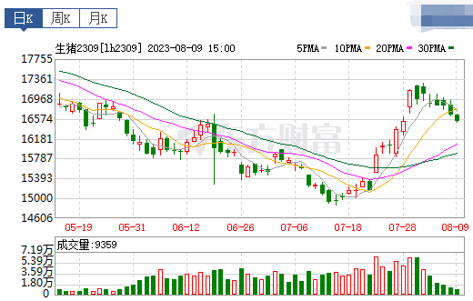 2023.08.10今日猪价