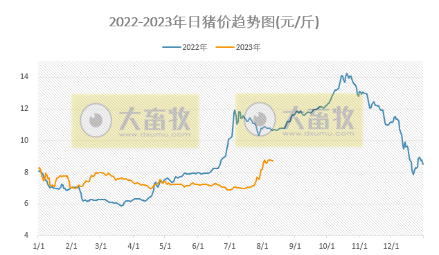 2023.08.11今日猪价