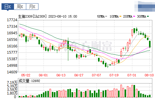 2023.08.11今日猪价