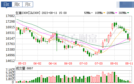 2023.08.12今日猪价