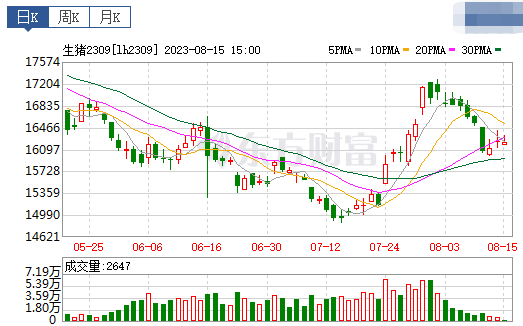 2023.08.16今日猪价