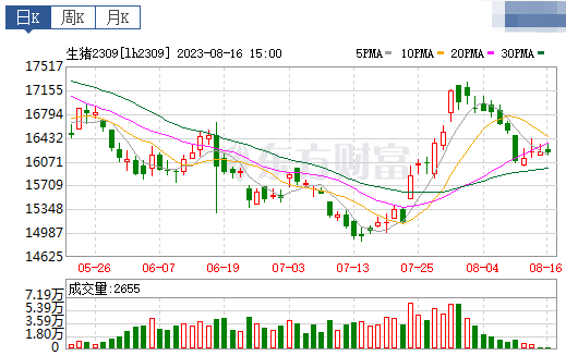 2023.08.17今日猪价
