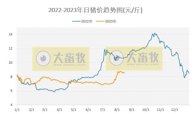2023.08.17今日猪价
