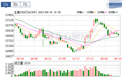 2023.08.19今日猪价