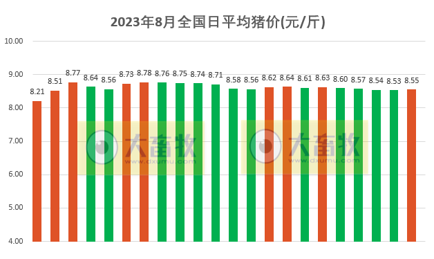2023.08.22今日猪价