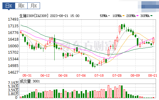 2023.08.22今日猪价
