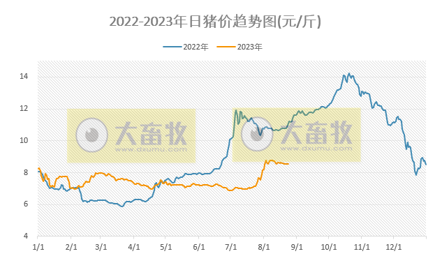 2023.08.24今日猪价