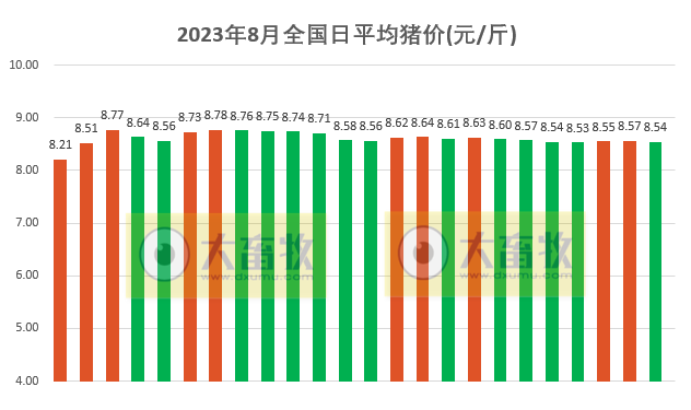 2023.08.24今日猪价