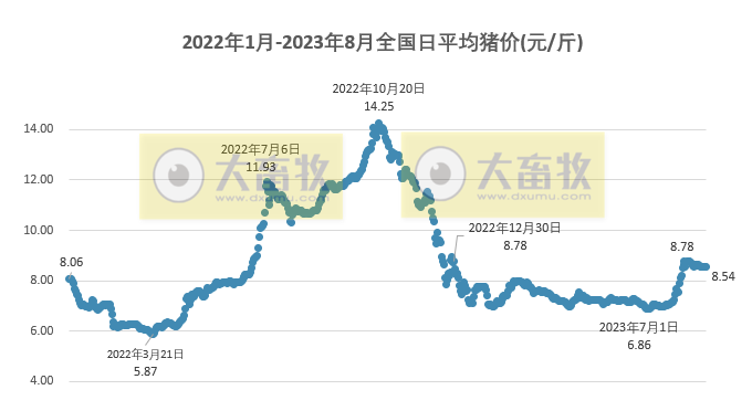 2023.08.24今日猪价