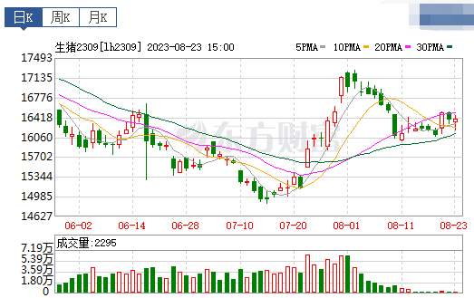 2023.08.24今日猪价