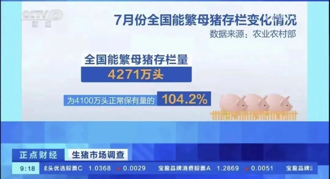 全国能繁母猪存栏降至4271万头，比上个月减少25万头！自繁自养一头猪可赚两三百？