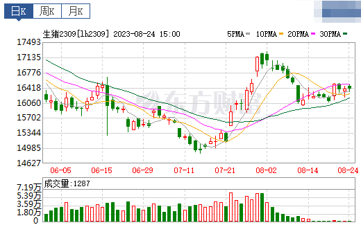 2023.08.25今日猪价
