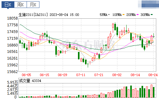 2023.08.25今日猪价